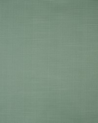 Greenhouse S4755 by  Greenhouse Fabrics 