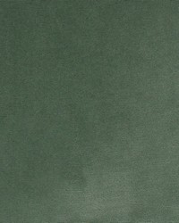 Greenhouse S4862 by  Greenhouse Fabrics 