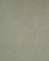 Greenhouse S4864 by  Greenhouse Fabrics 