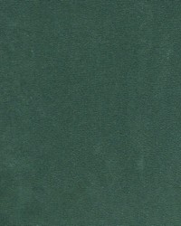 Greenhouse S4870 by  Greenhouse Fabrics 