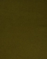 Greenhouse S4888 by  Greenhouse Fabrics 