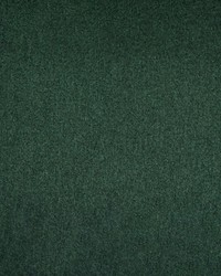 Greenhouse S4890 by  Greenhouse Fabrics 