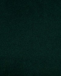 Greenhouse S4897 by  Greenhouse Fabrics 