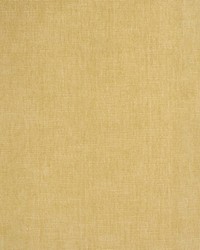 Greenhouse S4904 by  Greenhouse Fabrics 