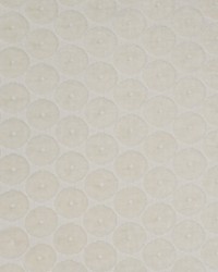 Greenhouse S4954 by  Greenhouse Fabrics 