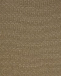 Greenhouse S4974 by  Greenhouse Fabrics 