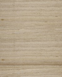 Greenhouse S5061 by  Greenhouse Fabrics 