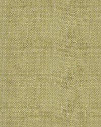 Greenhouse S5081 by  Greenhouse Fabrics 