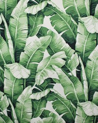 Greenhouse S5082 by  Greenhouse Fabrics 