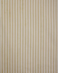 Greenhouse S5105 by  Greenhouse Fabrics 