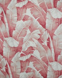 Greenhouse S5122 by  Greenhouse Fabrics 