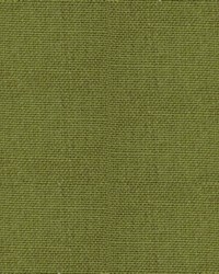 Greenhouse S5131 by  Greenhouse Fabrics 