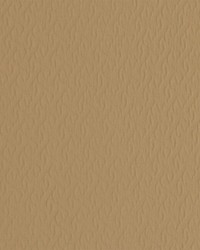 Greenhouse S5160 by  Greenhouse Fabrics 