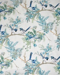Greenhouse S5178 by  Greenhouse Fabrics 