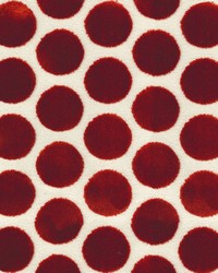 Greenhouse S5264 by  Greenhouse Fabrics 