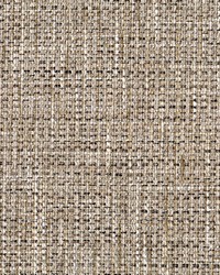 Greenhouse S5305 by  Greenhouse Fabrics 