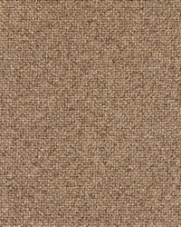 Greenhouse S5309 by  Greenhouse Fabrics 