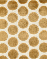 Greenhouse S5397 by  Greenhouse Fabrics 
