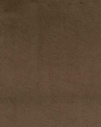 Greenhouse S5410 by  Greenhouse Fabrics 