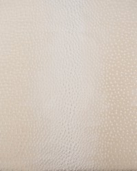 Greenhouse S5440 by  Greenhouse Fabrics 