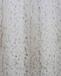 Greenhouse S5443 by  Greenhouse Fabrics 