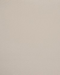 Greenhouse S5446 by  Greenhouse Fabrics 