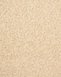 Greenhouse S5451 by  Greenhouse Fabrics 