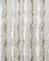 Greenhouse S5476 by  Greenhouse Fabrics 