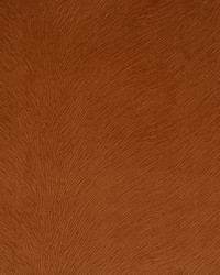 Greenhouse S5504 by  Greenhouse Fabrics 