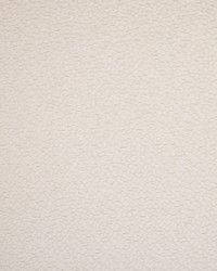 Greenhouse S5523 by  Greenhouse Fabrics 