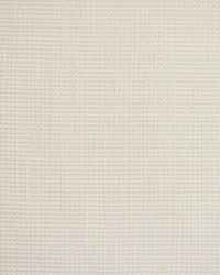 Greenhouse S5530 by  Greenhouse Fabrics 