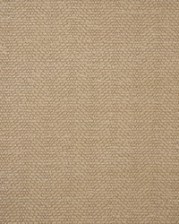 Greenhouse S5541 by  Greenhouse Fabrics 