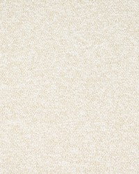 Greenhouse S5542 by  Greenhouse Fabrics 