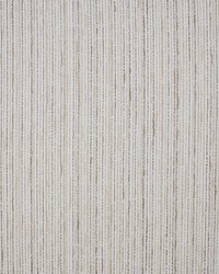 Greenhouse S5543 by  Greenhouse Fabrics 