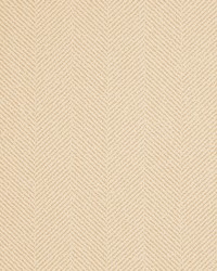 Greenhouse S5546 by  Greenhouse Fabrics 