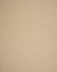 Greenhouse S5547 by  Greenhouse Fabrics 