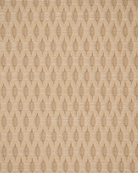 Greenhouse S5548 by  Greenhouse Fabrics 