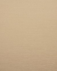 Greenhouse S5549 by  Greenhouse Fabrics 