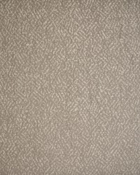 Greenhouse S5556 by  Greenhouse Fabrics 