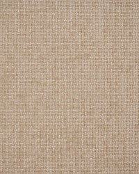 Greenhouse S5562 by  Greenhouse Fabrics 