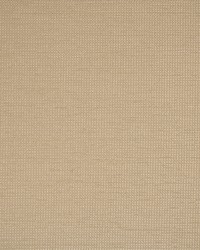 Greenhouse S5567 by  Greenhouse Fabrics 