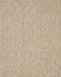 Greenhouse S5572 by  Greenhouse Fabrics 