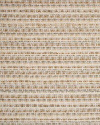 Greenhouse S5575 by  Greenhouse Fabrics 