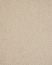 Greenhouse S5583 by  Greenhouse Fabrics 