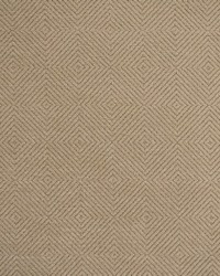 Greenhouse S5589 by  Greenhouse Fabrics 