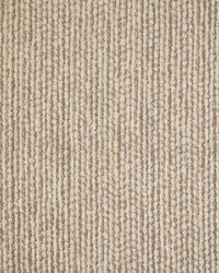 Greenhouse S5591 by  Greenhouse Fabrics 