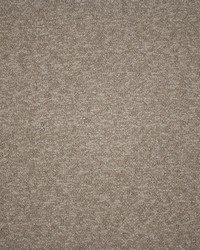 Greenhouse S5597 by  Greenhouse Fabrics 