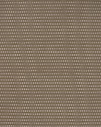 Greenhouse S5600 by  Greenhouse Fabrics 