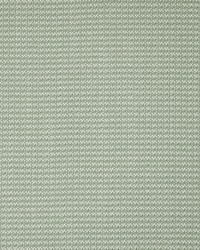 Greenhouse S5679 by  Greenhouse Fabrics 