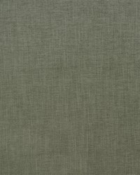 Greenhouse S5697 by  Greenhouse Fabrics 